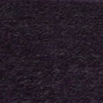 Elderberry (5512)
